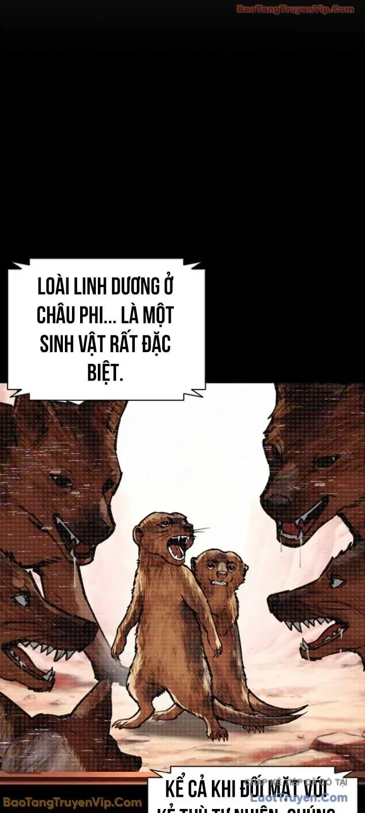 Hoán Đổi Diệu Kỳ Chapter 595 - 75