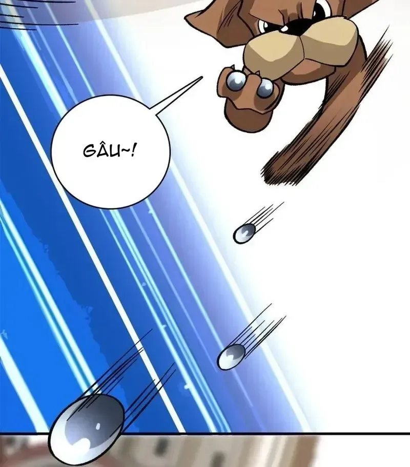 Nhân Vật Phản Diện? Chắc Chắn Không Phải Ta Chapter 222 - 41