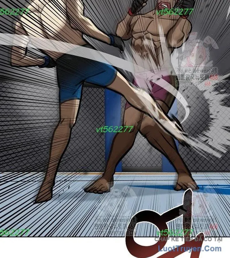 Vua Võ Đài Chapter 168 - 143