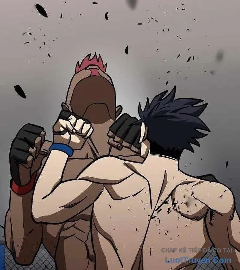 Vua Võ Đài Chapter 170 - 114