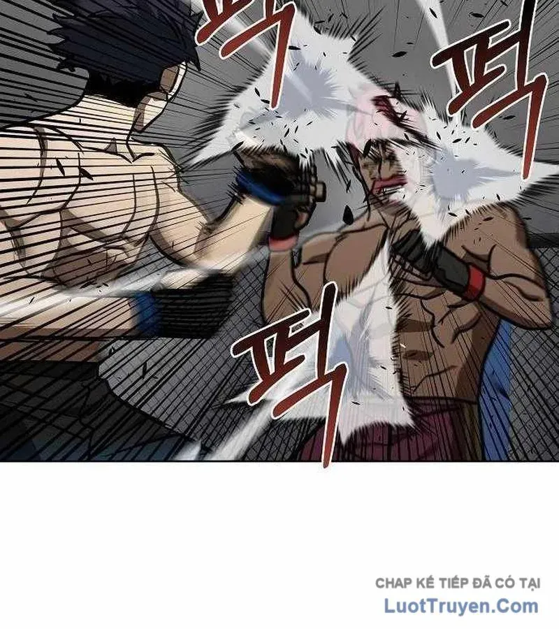 Vua Võ Đài Chapter 170 - 17