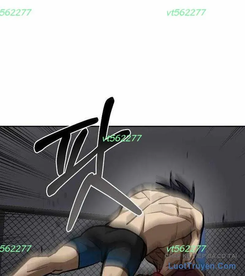 Vua Võ Đài Chapter 170 - 60