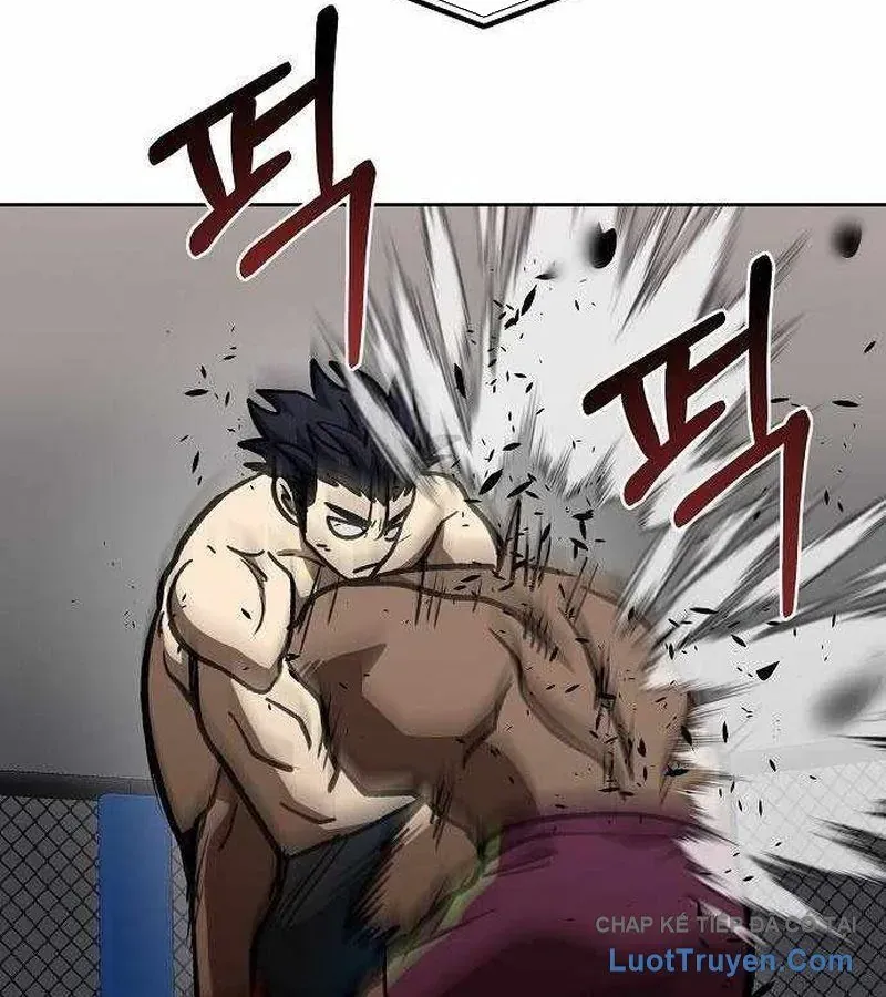 Vua Võ Đài Chapter 170 - 84