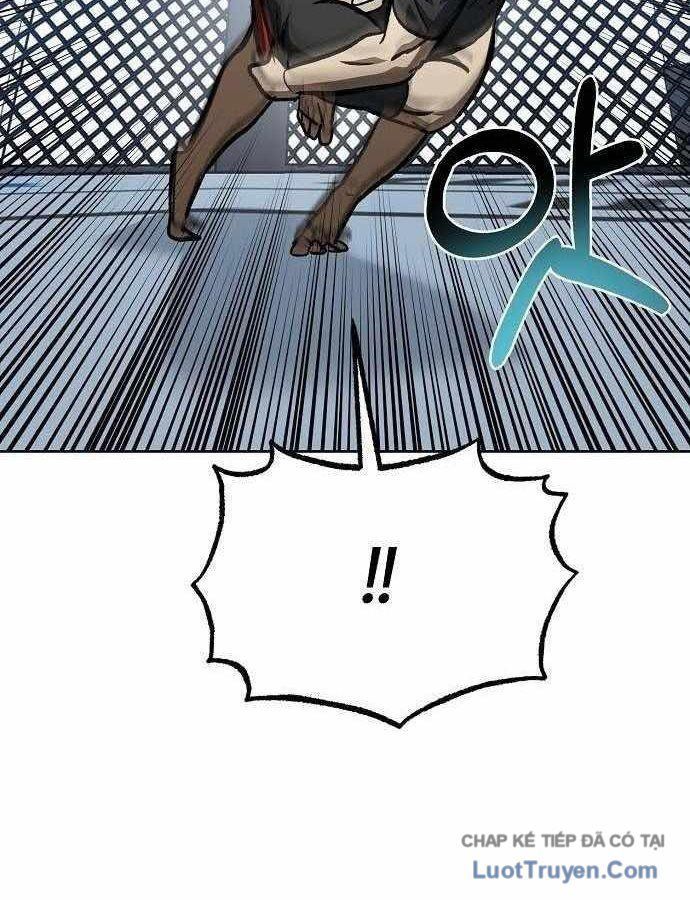 Vua Võ Đài Chapter 174 - 18