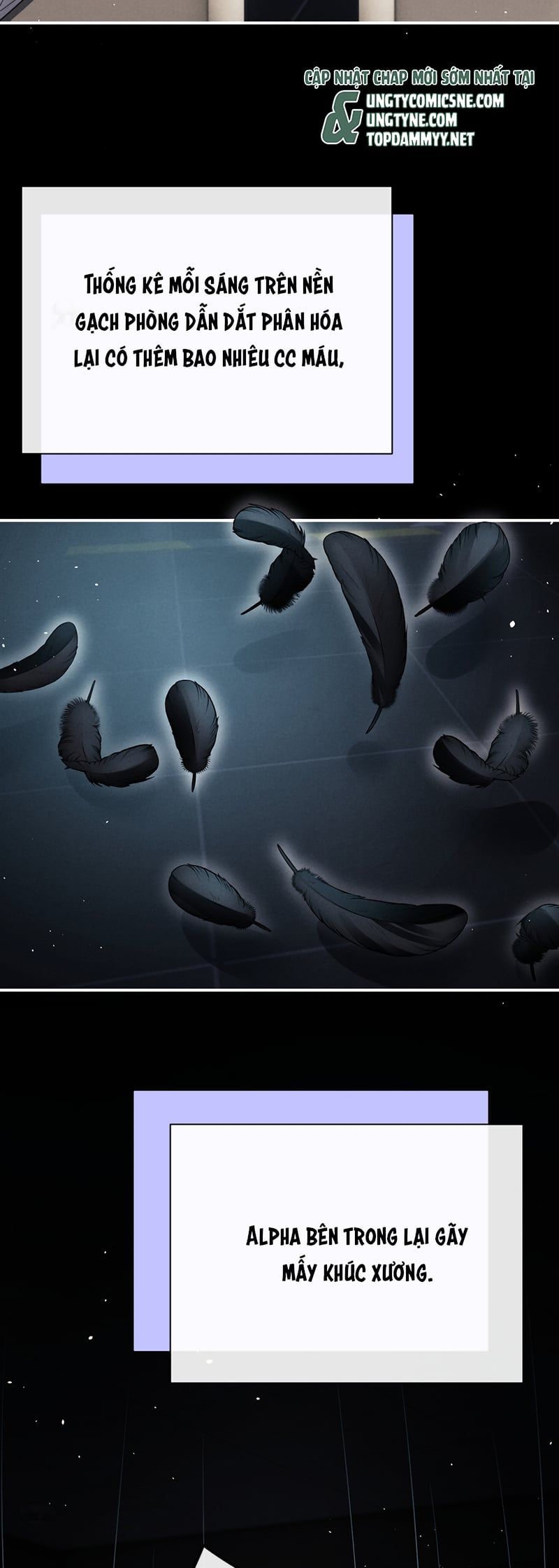 Chấp Sự Thỏ Cụp Tai Chapter 187 - 11