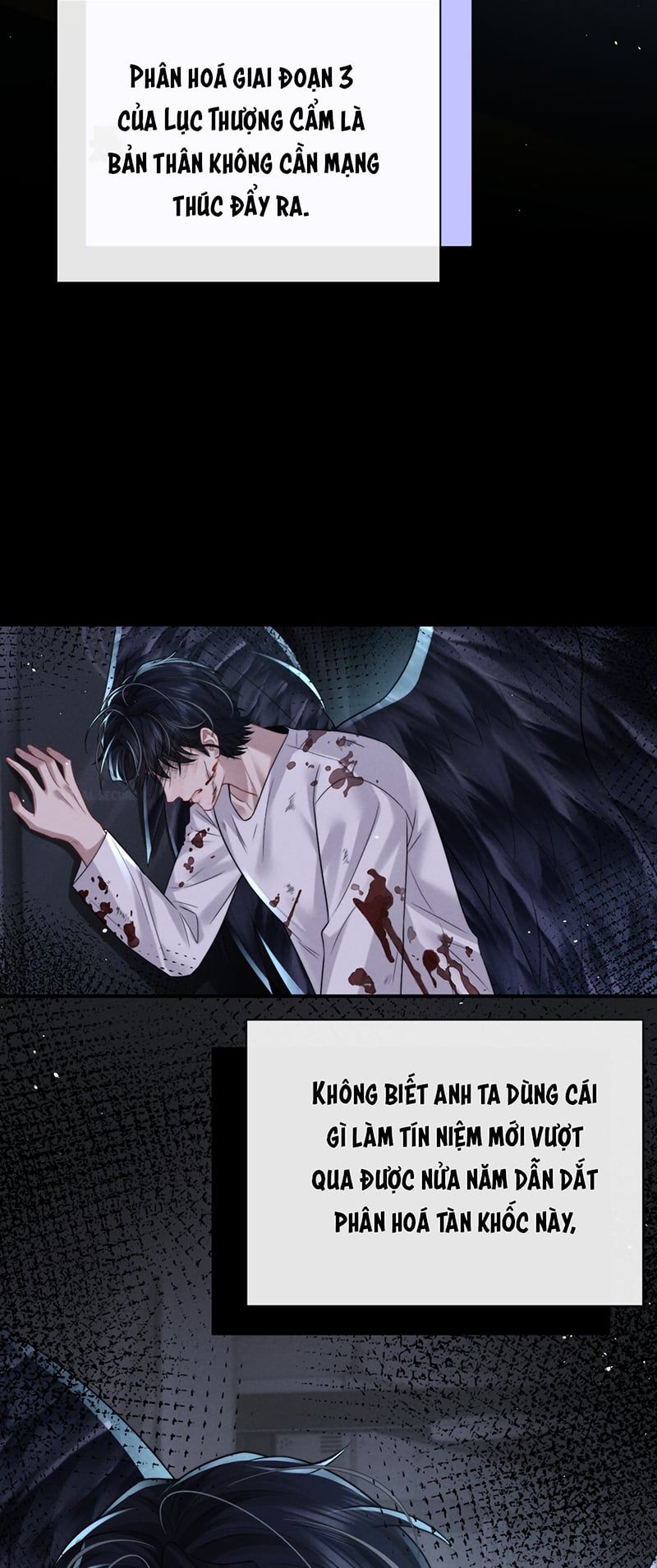 Chấp Sự Thỏ Cụp Tai Chapter 187 - 13