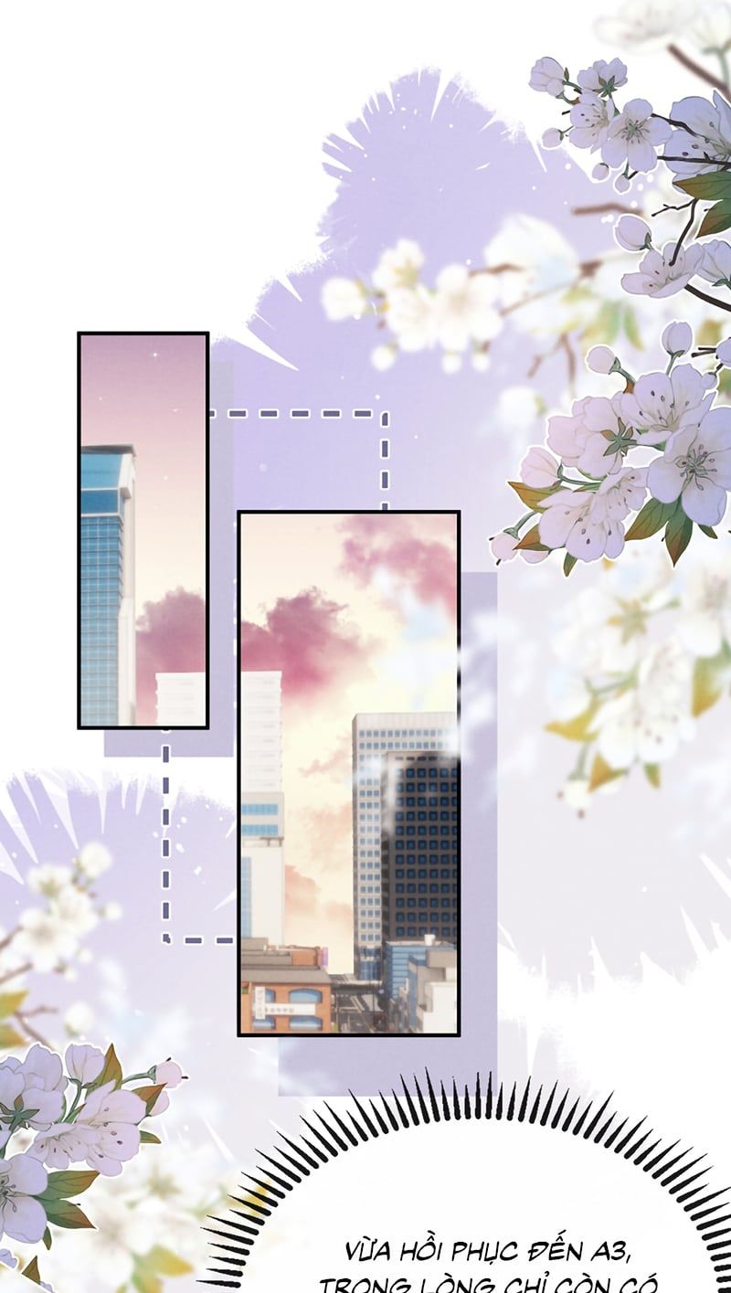 Chấp Sự Thỏ Cụp Tai Chapter 188 - 6