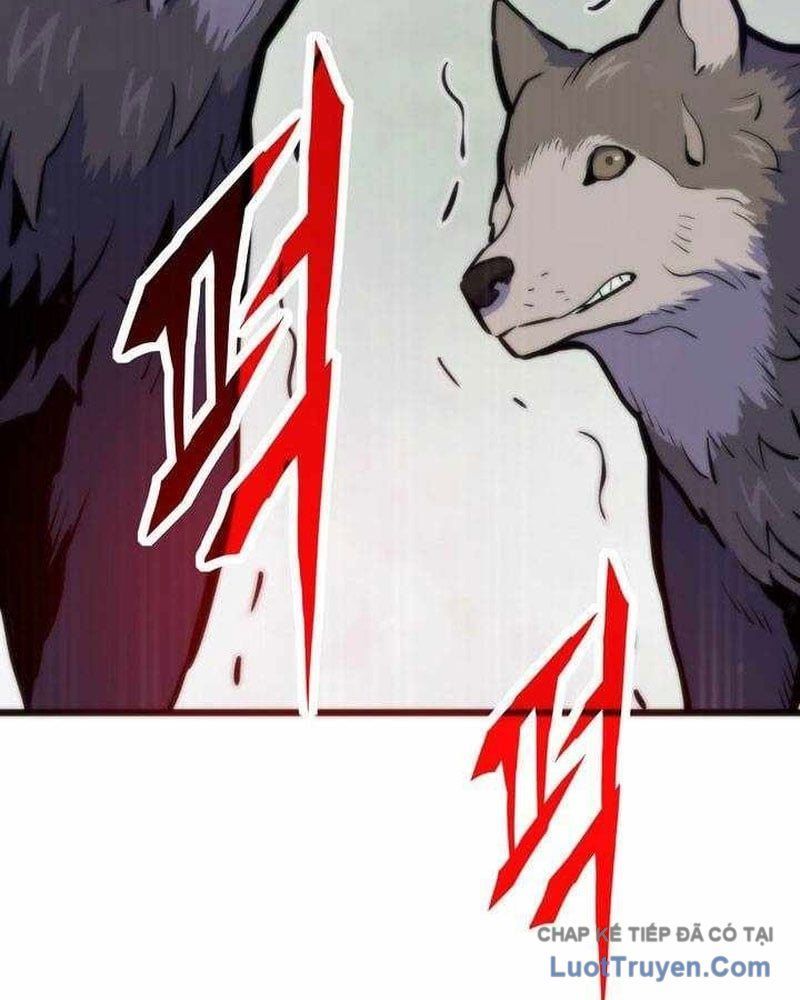 Hồi Quy Giả Chapter 152 - 168