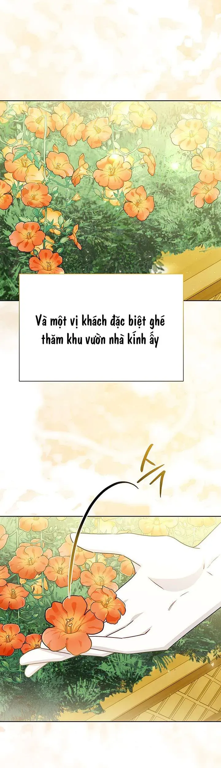 Tôi Sẽ Không Hối Tiếc Vì Anh Đâu Chapter 140 - 11