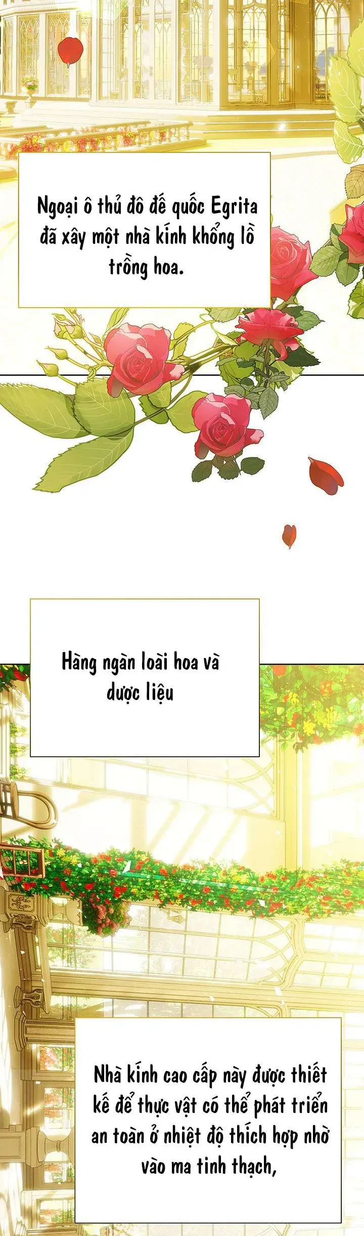 Tôi Sẽ Không Hối Tiếc Vì Anh Đâu Chapter 140 - 9