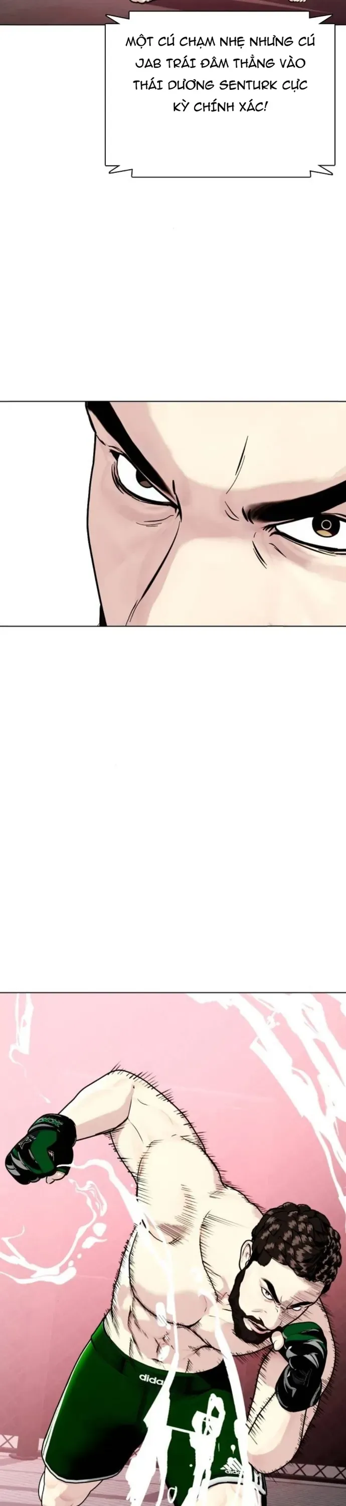 Loser Giỏi Võ Chapter 151 - 21