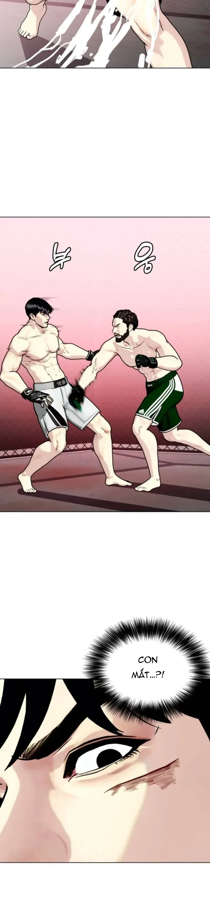 Loser Giỏi Võ Chapter 151 - 22