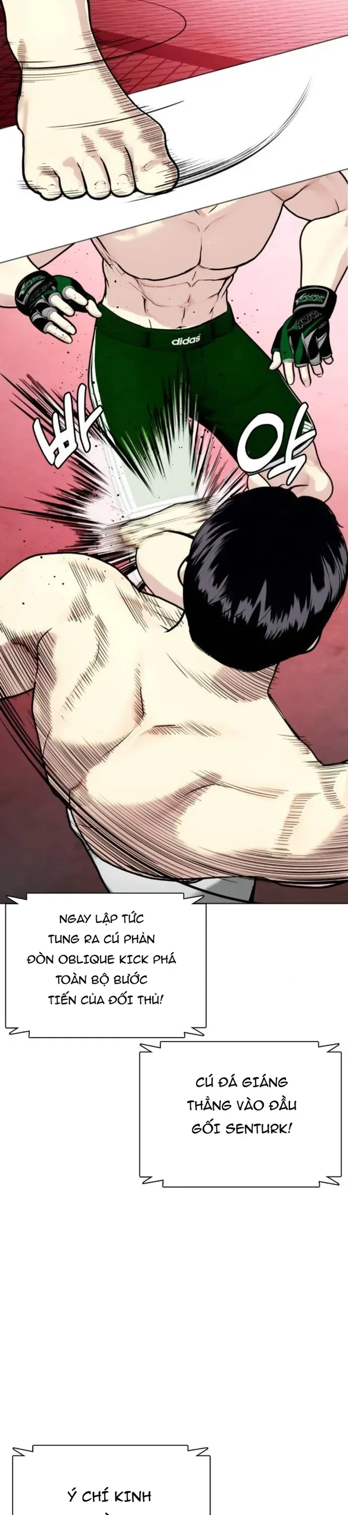 Loser Giỏi Võ Chapter 151 - 24