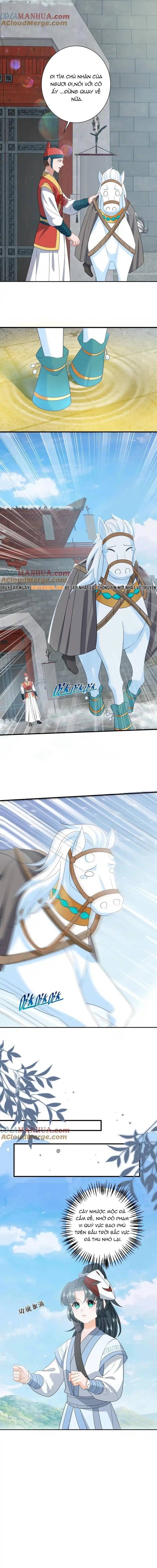 3 Kiếp Xui Xẻo, Kiếp Này Cùng Ta Thần Kinh Chapter 258 - 2