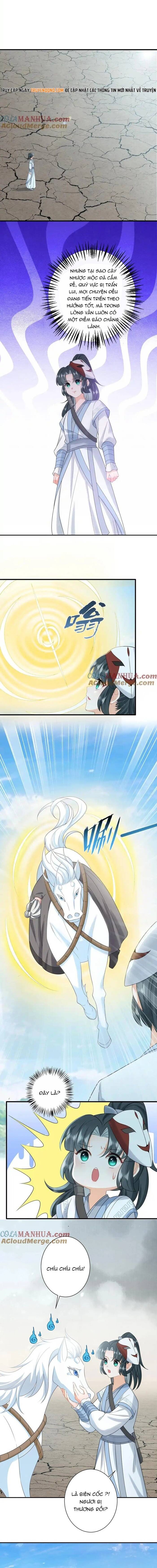3 Kiếp Xui Xẻo, Kiếp Này Cùng Ta Thần Kinh Chapter 258 - 3