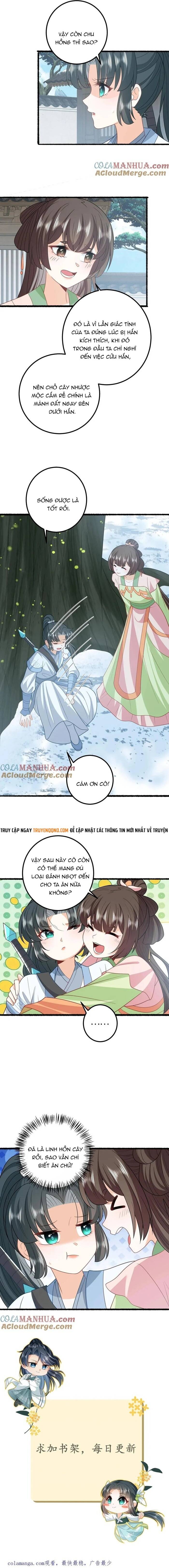 3 Kiếp Xui Xẻo, Kiếp Này Cùng Ta Thần Kinh Chapter 263 - 5