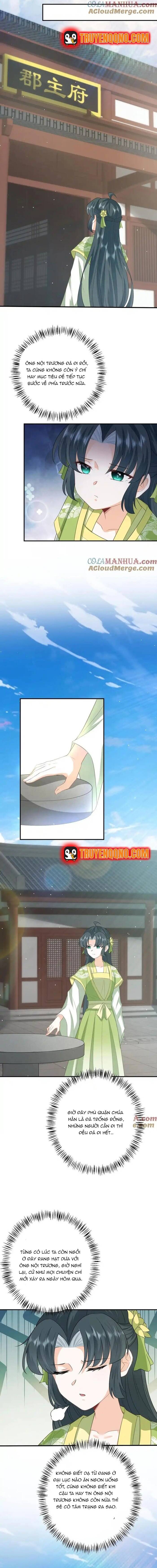 3 Kiếp Xui Xẻo, Kiếp Này Cùng Ta Thần Kinh Chapter 267 - 5