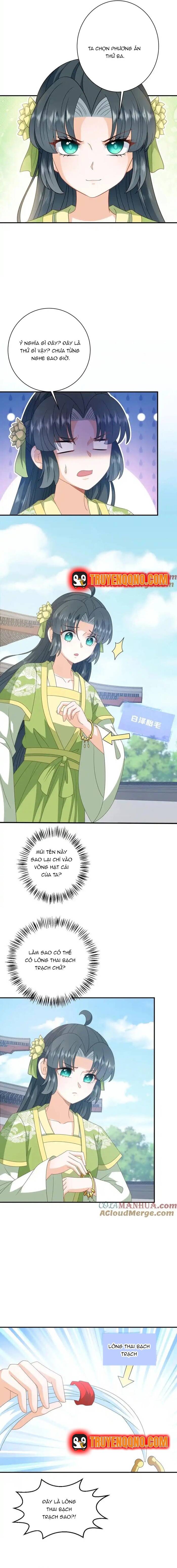 3 Kiếp Xui Xẻo, Kiếp Này Cùng Ta Thần Kinh Chapter 268 - 3