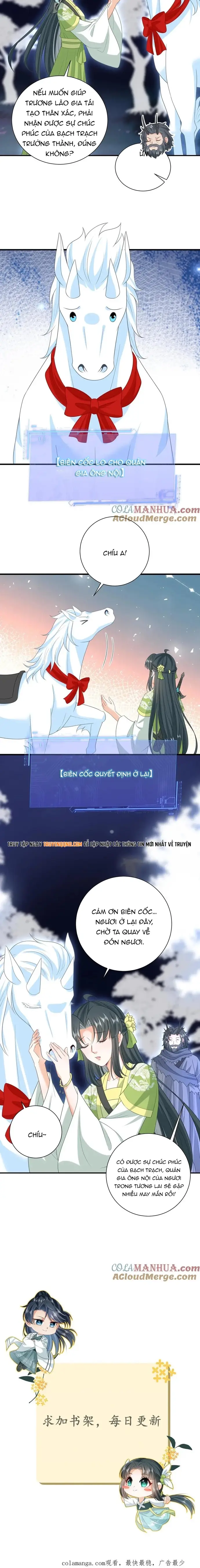 3 Kiếp Xui Xẻo, Kiếp Này Cùng Ta Thần Kinh Chapter 286 - 5