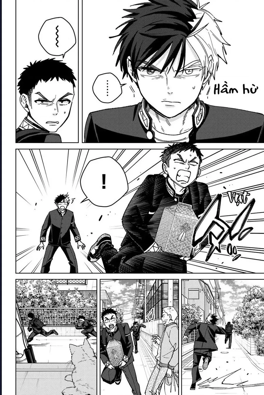 Wind Breaker (Nii Satoru) Chapter 202 - 5