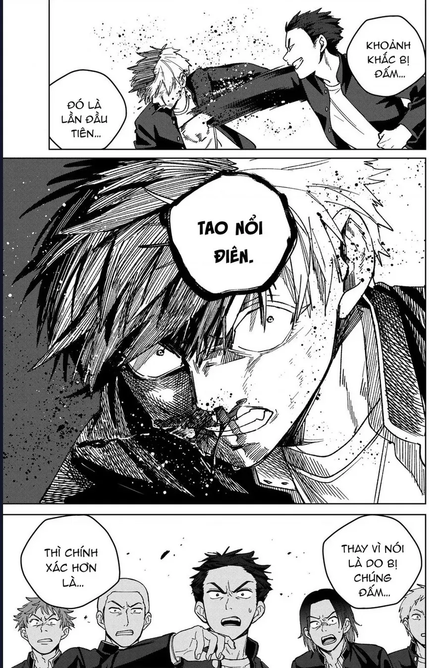 Wind Breaker (Nii Satoru) Chapter 203 - 12