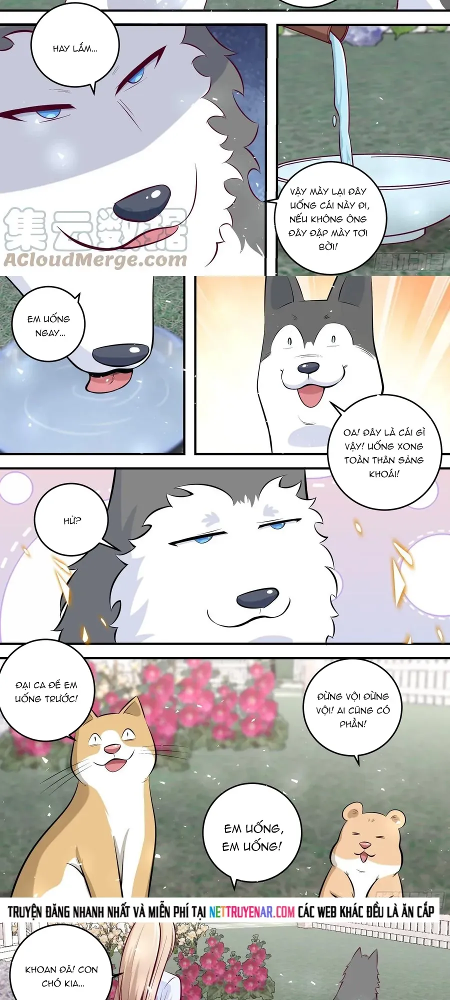 Trọng Sinh Thành Chó Của Nữ Thần Chapter 454 - 8