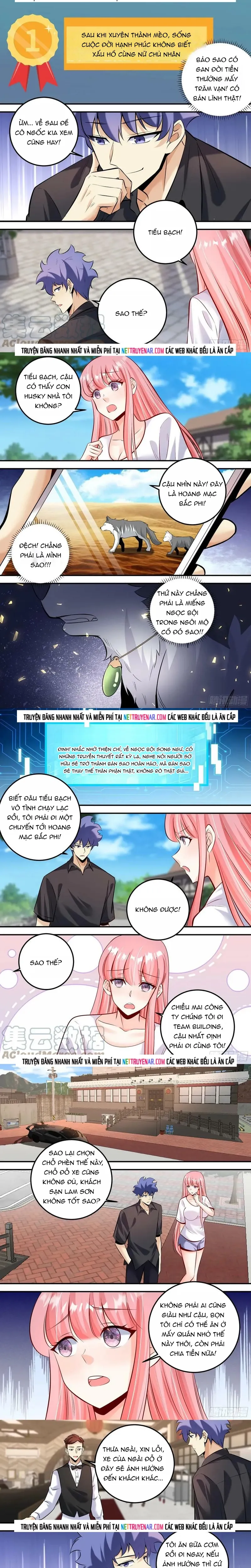 Trọng Sinh Thành Chó Của Nữ Thần Chapter 469 - 2