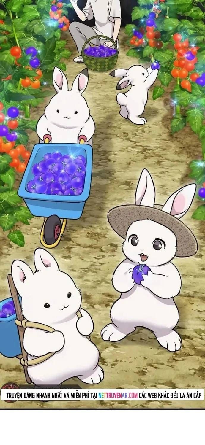 Làm Nông Dân Trong Tòa Tháp Thử Thách Chapter 120 - 5