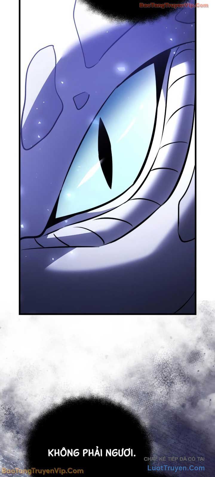 Hắc Kị Sĩ Thiên Tài Giới Hạn Thời Gian Chapter 138 - 18