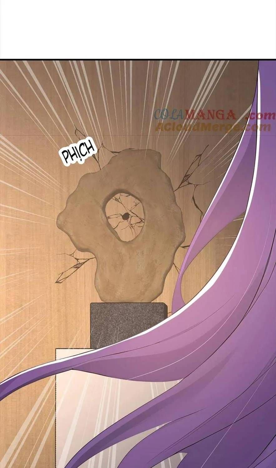 Tái Sinh Trở Lại : Chồng Cũ Khóc Lóc Cầu Xin Tái Hôn Chapter 201.1 - 13