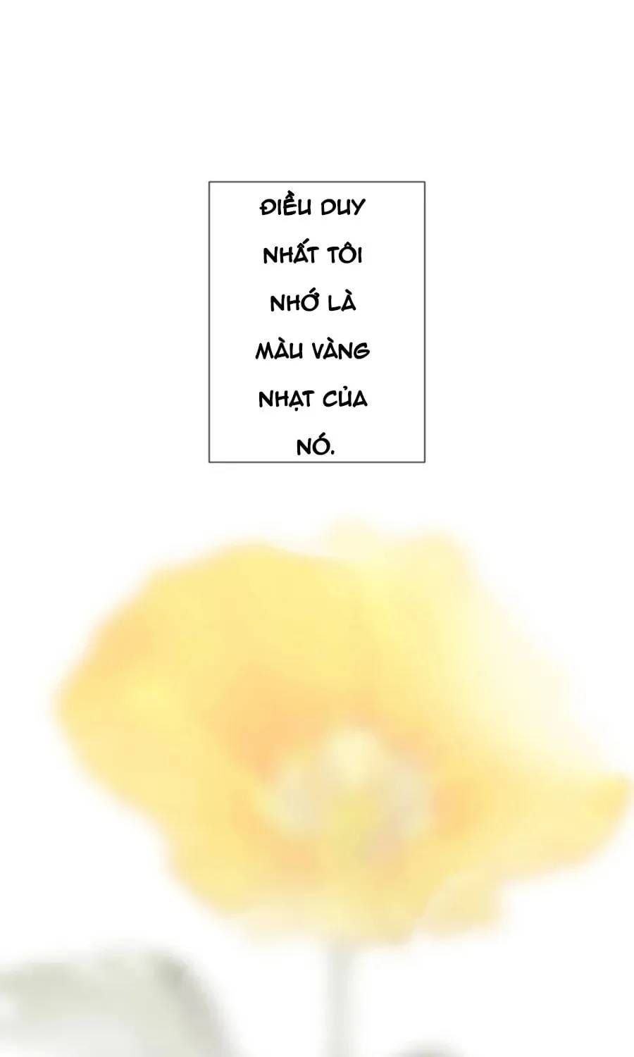 Huyết Thánh Cứu Thế Chủ~ Ta Chỉ Cần 0.0000001% Đã Trở Thành Vô Địch Chapter 160 - 19