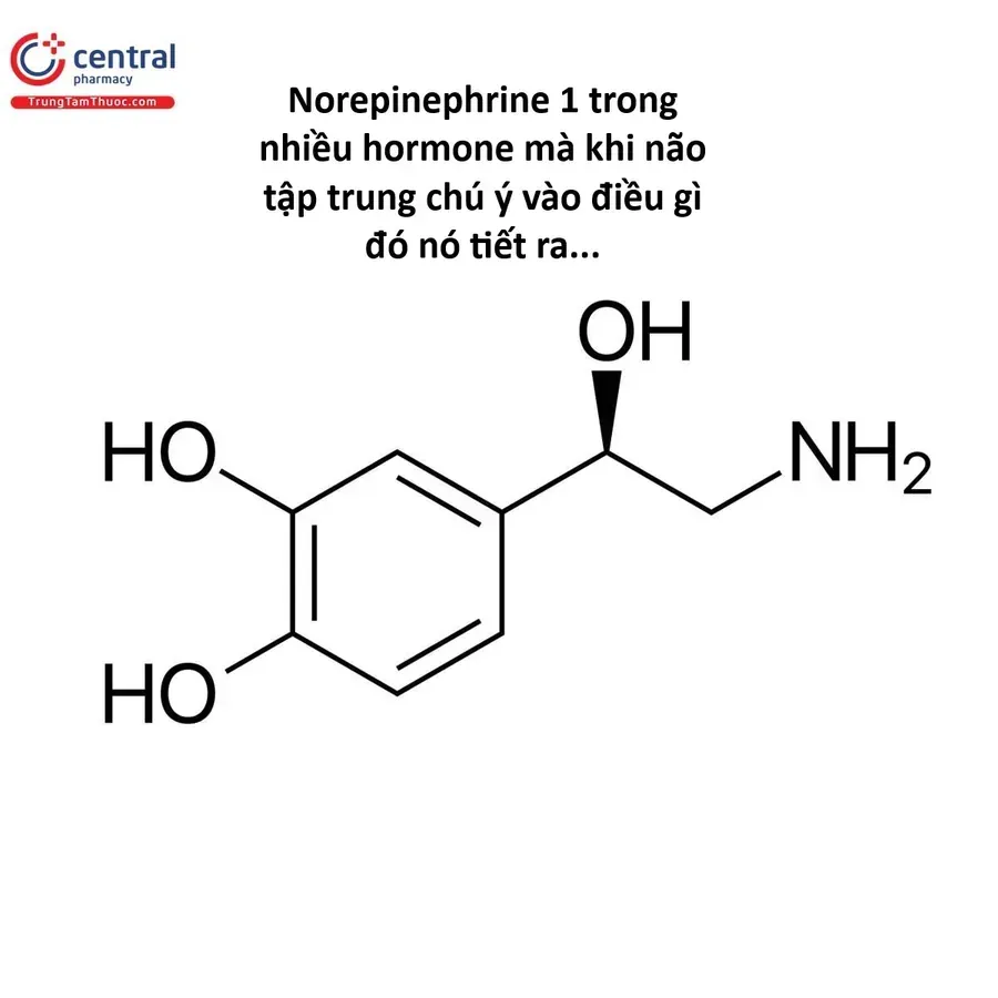 Hổ Đến Chơi Nhà Chapter 176 - 7