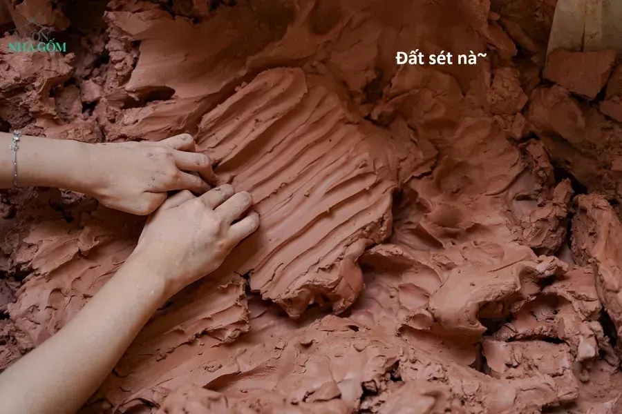 Hổ Đến Chơi Nhà Chapter 178 - 4