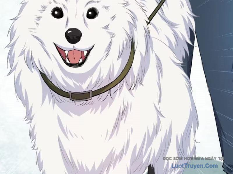 Bỏ Làm Simp Chúa, Ta Có Trong Tay Cả Tỉ Thần Hào! Chapter 253 - 101