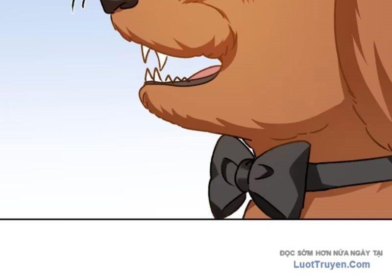 Bỏ Làm Simp Chúa, Ta Có Trong Tay Cả Tỉ Thần Hào! Chapter 253 - 78