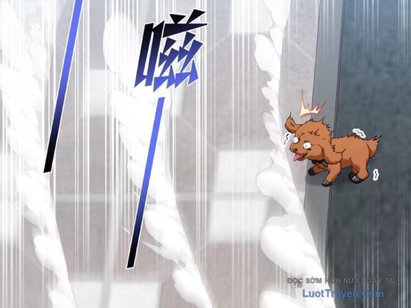 Bỏ Làm Simp Chúa, Ta Có Trong Tay Cả Tỉ Thần Hào! Chapter 254 - 5