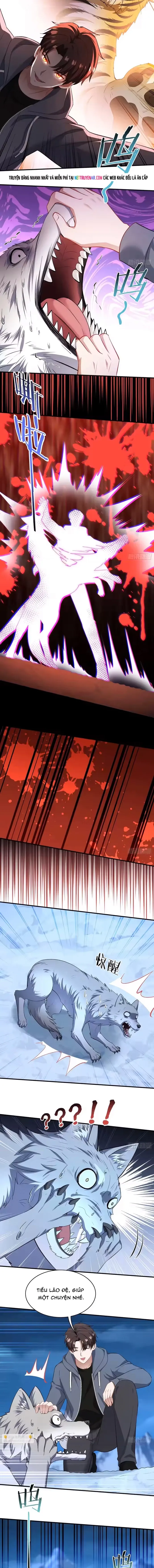 Bỏ Làm Simp Chúa, Ta Có Trong Tay Cả Tỉ Thần Hào! Chapter 280 - 5