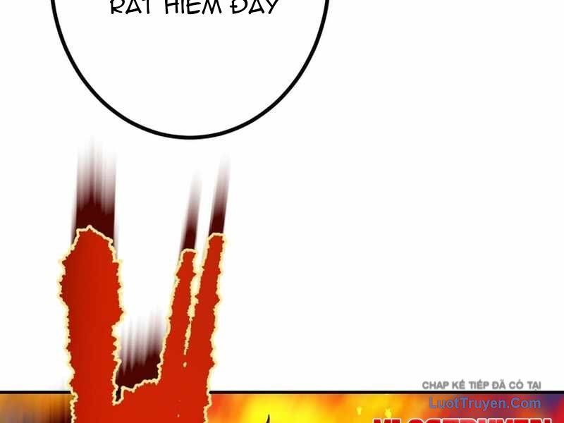 Sát Thủ Mạnh Nhất Chuyển Sinh Sang Thế Giới Khác Chapter 113 - 133