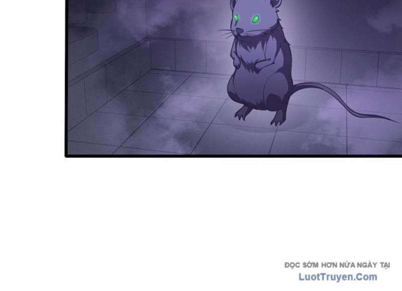 Ta Học Trảm Thần Trong Bệnh Viện Tâm Thần Chapter 294 - 52