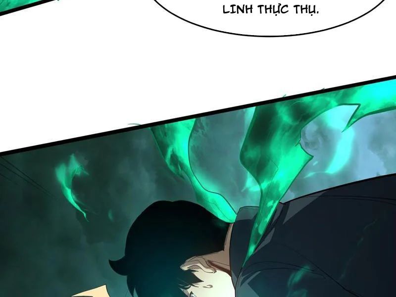 Sức Mạnh Tối Đa? Ta Lại Là Vong Linh Sư! Chapter 110 - 93