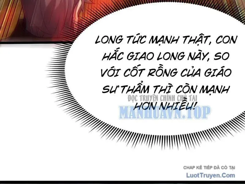 Sức Mạnh Tối Đa? Ta Lại Là Vong Linh Sư! Chapter 110 - 171