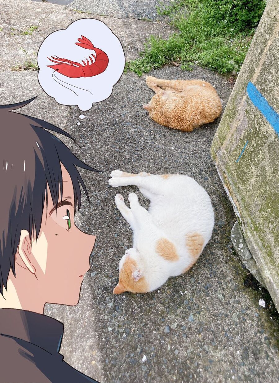 Cô Nàng Mèo Ngủ Gật Và Chàng Trai Hướng Nội Chapter 16.1 - 34