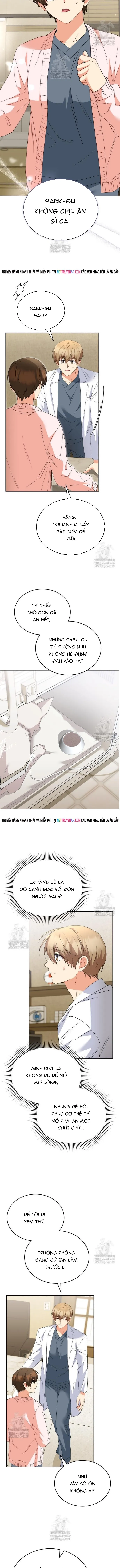 Xin Chào! Bác Sĩ Thú Y Chapter 114 - 5