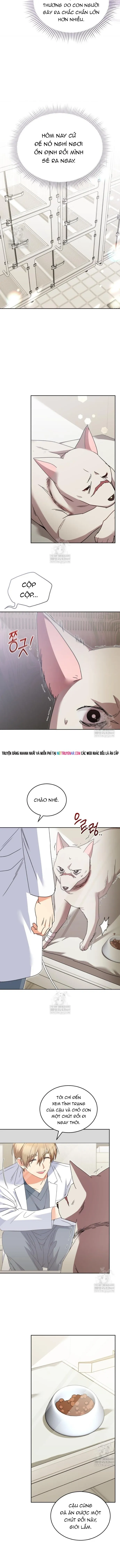 Xin Chào! Bác Sĩ Thú Y Chapter 114 - 7