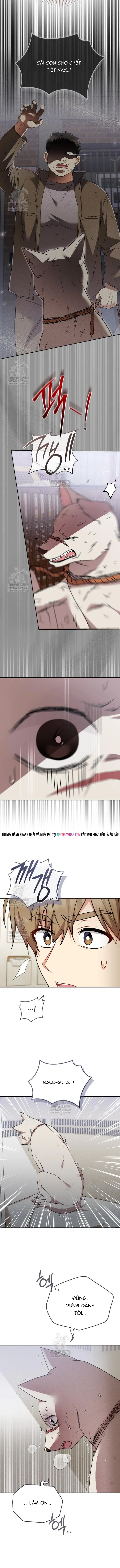Xin Chào! Bác Sĩ Thú Y Chapter 114 - 9