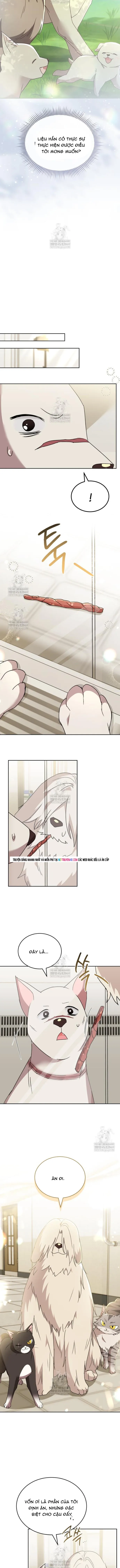 Xin Chào! Bác Sĩ Thú Y Chapter 115 - 6