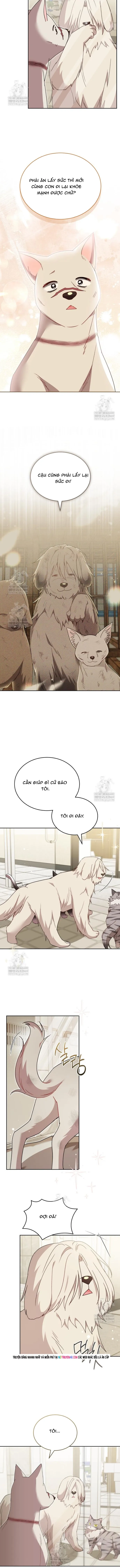 Xin Chào! Bác Sĩ Thú Y Chapter 115 - 7