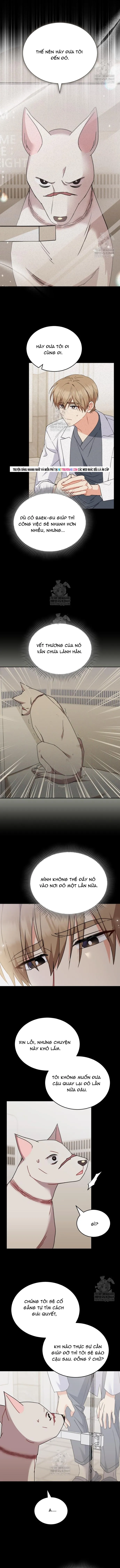 Xin Chào! Bác Sĩ Thú Y Chapter 116 - 2