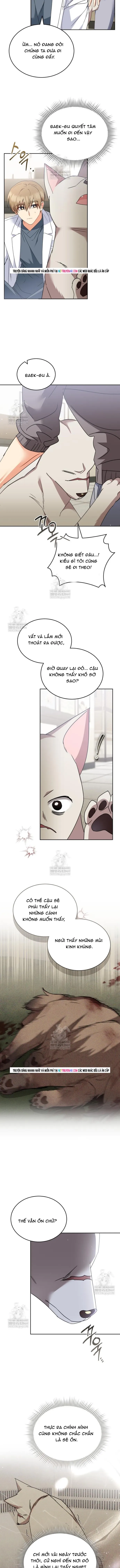 Xin Chào! Bác Sĩ Thú Y Chapter 116 - 5