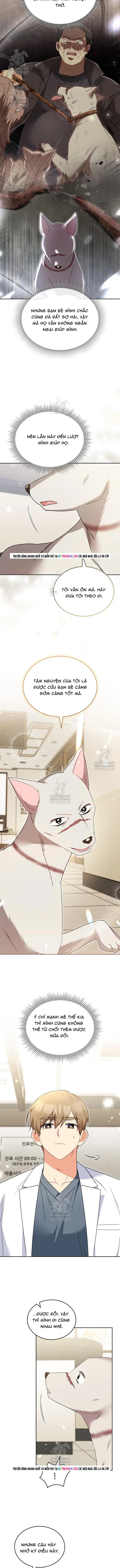 Xin Chào! Bác Sĩ Thú Y Chapter 116 - 6